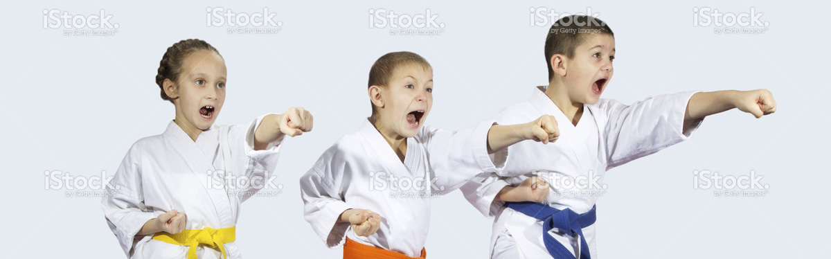 children karate punch